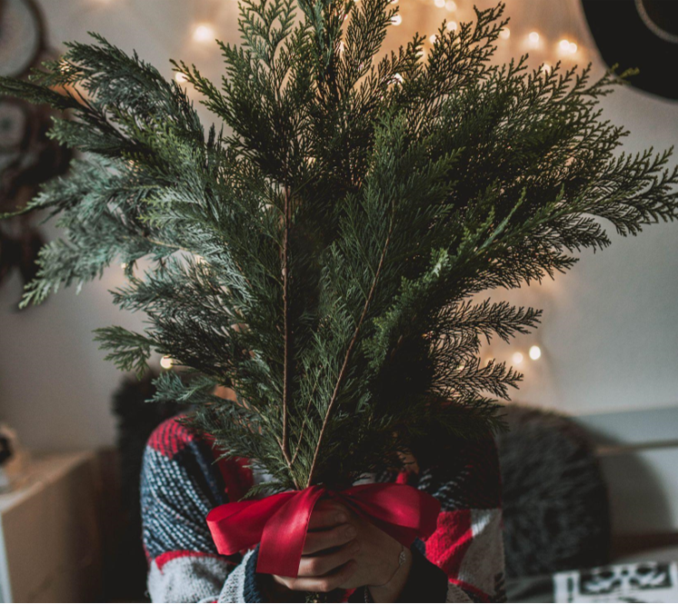 Making it Rain on Christmas Trees: The Extreme Way of Celebrating the Festive Season